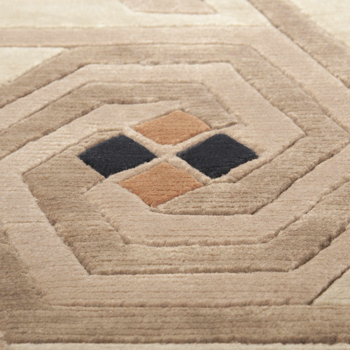 Hisle Modern Style Brown And Beige Hand Knotted Area Rug
