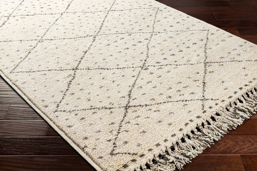 Halling Ivory And Gray Modern Geometrical Hand Knotted Area Rug