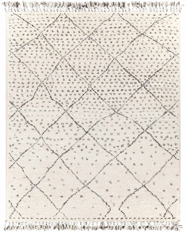 Halling Ivory And Gray Modern Geometrical Hand Knotted Area Rug