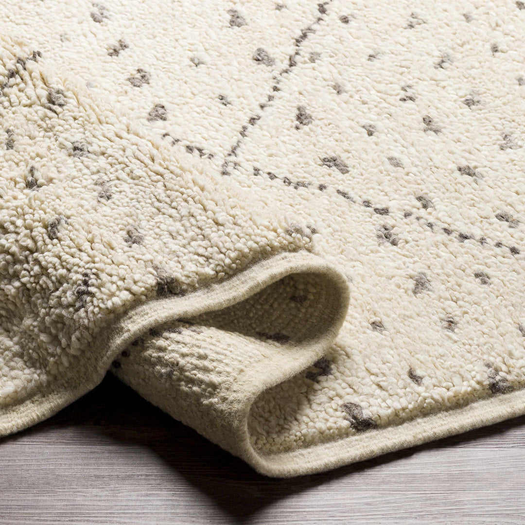 Halling Ivory And Gray Modern Geometrical Hand Knotted Area Rug