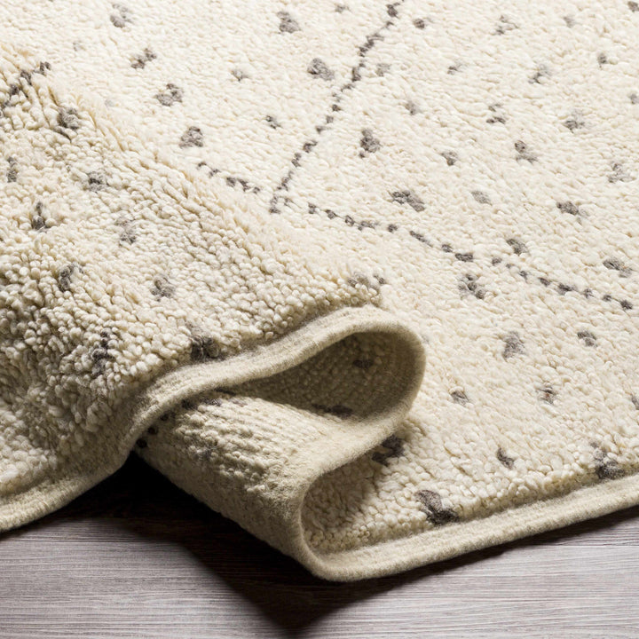 Halling Ivory And Gray Modern Geometrical Hand Knotted Area Rug