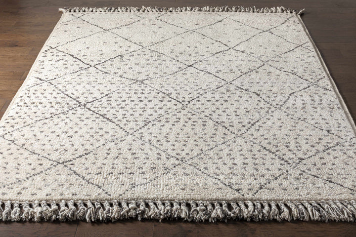 Halling Ivory And Gray Modern Geometrical Hand Knotted Area Rug