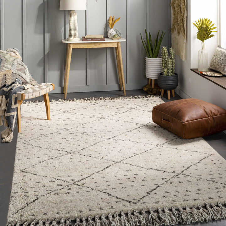 Halling Ivory And Gray Modern Geometrical Hand Knotted Area Rug