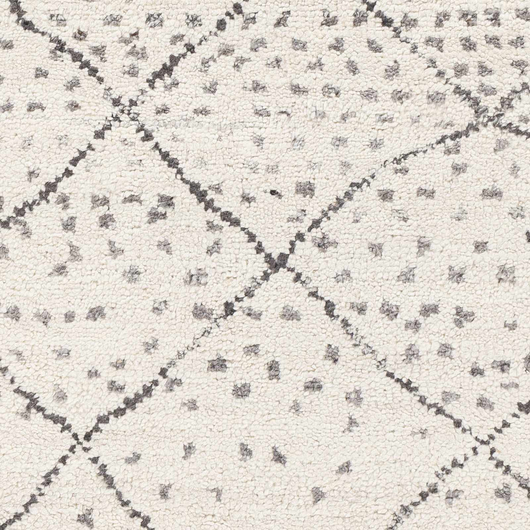 Halling Ivory And Gray Modern Geometrical Hand Knotted Area Rug