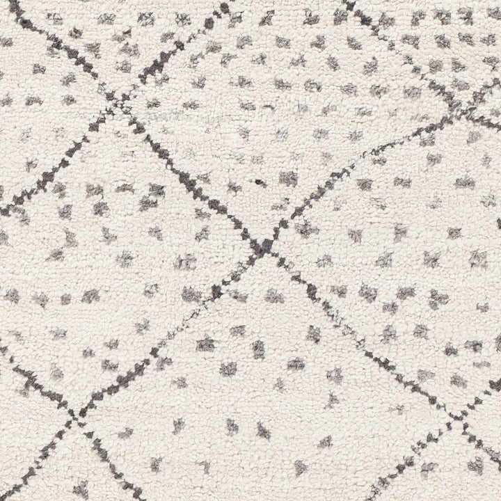 Halling Ivory And Gray Modern Geometrical Hand Knotted Area Rug