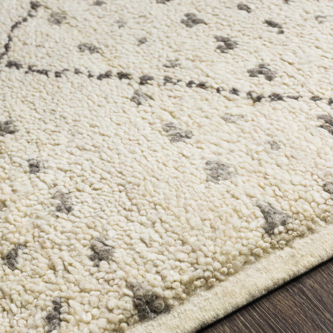 Halling Ivory And Gray Modern Geometrical Hand Knotted Area Rug