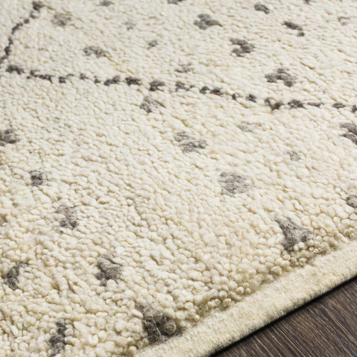 Halling Ivory And Gray Modern Geometrical Hand Knotted Area Rug