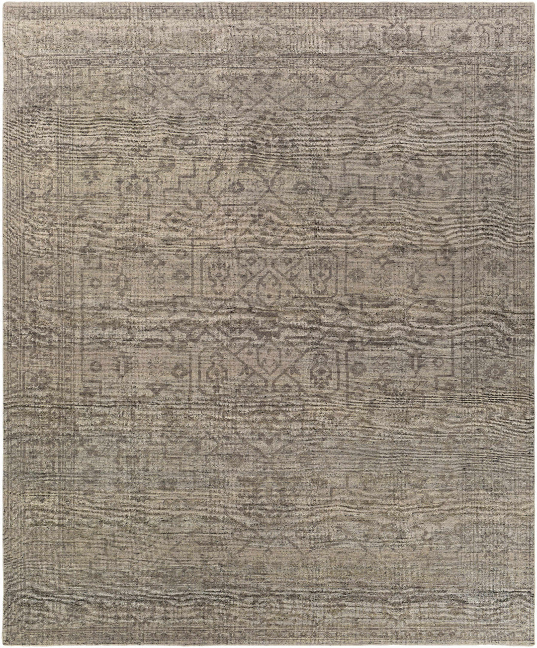 Hollym Taupe Traditional Style Hand Knotted Area Rug