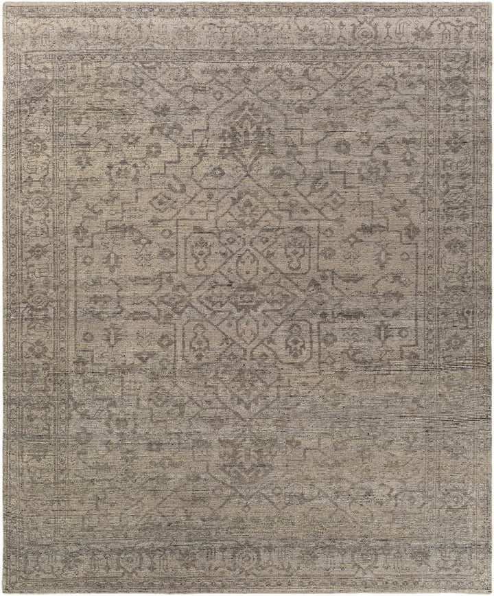 Hollym Taupe Traditional Style Hand Knotted Area Rug