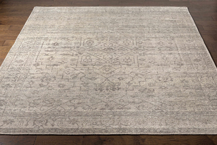 Hollym Taupe Traditional Style Hand Knotted Area Rug