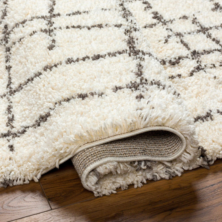 Hodor Plush Contemporary Ivory And Black Area Rug - The Rug Decor