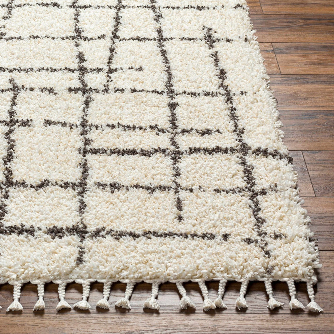 Hodor Plush Contemporary Ivory And Black Area Rug - The Rug Decor