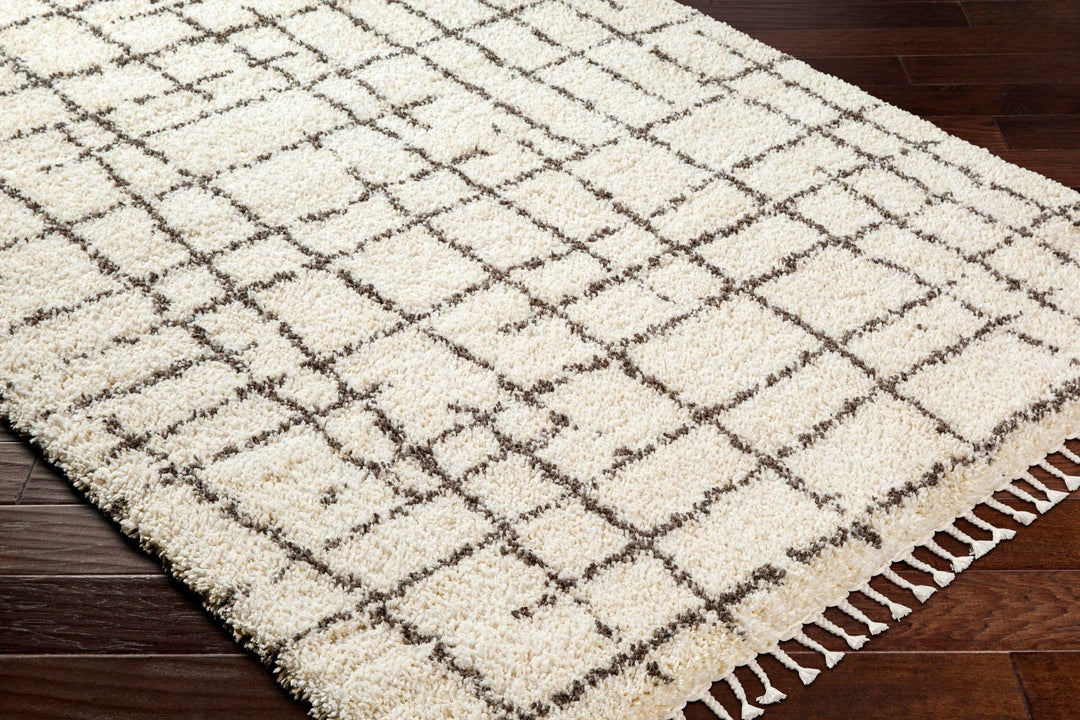 Hodor Plush Contemporary Ivory And Black Area Rug - The Rug Decor