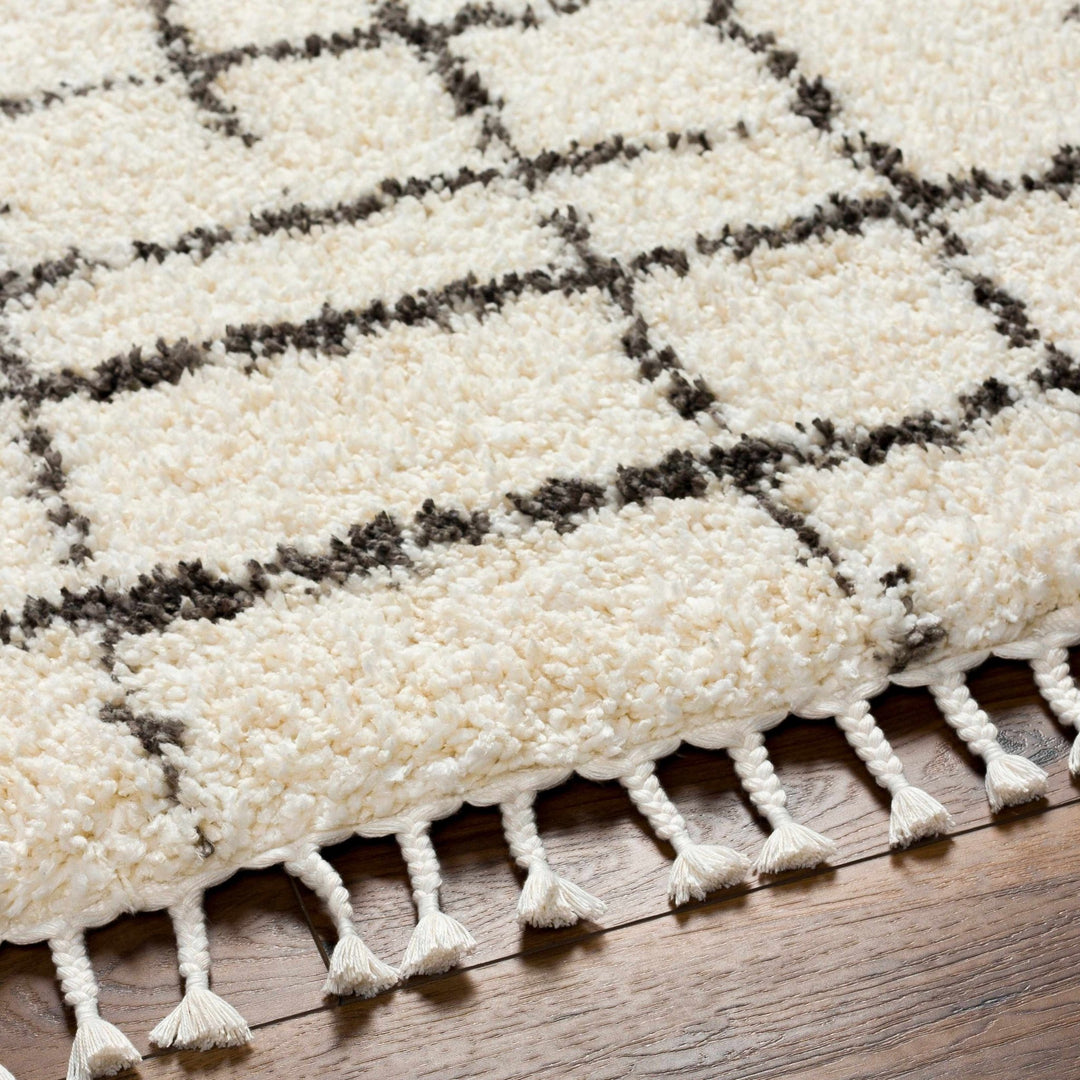Hodor Plush Contemporary Ivory And Black Area Rug - The Rug Decor