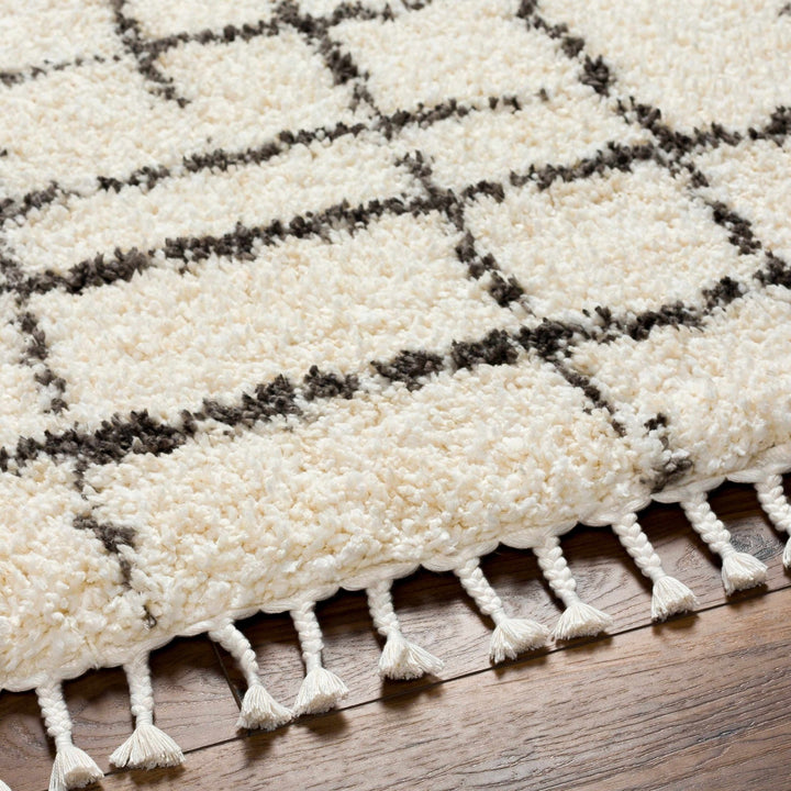 Hodor Plush Contemporary Ivory And Black Area Rug - The Rug Decor