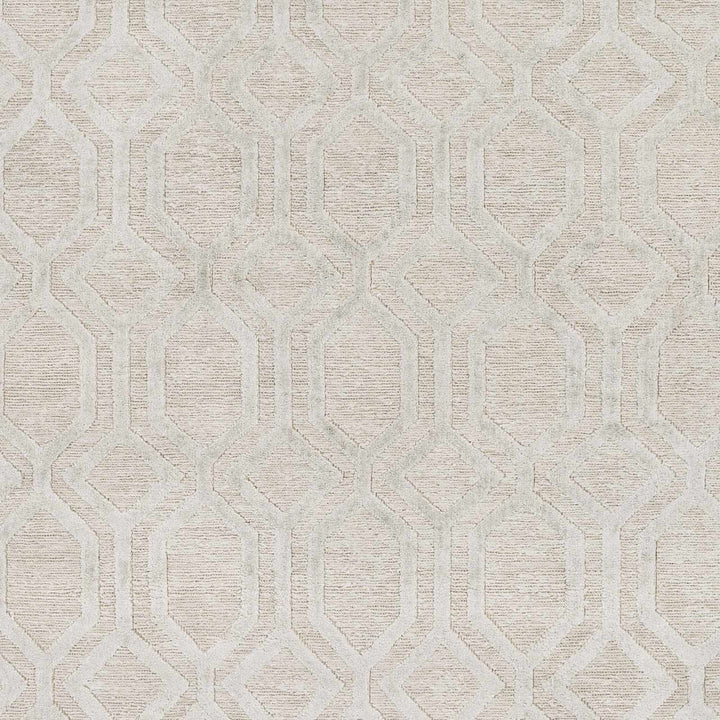 Hollyglen Contemporary Design Ivory Hand Knotted Linen Rug - The Rug Decor