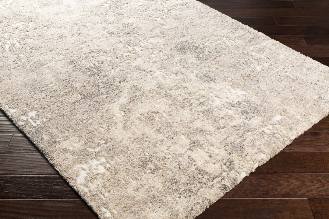 Holtsville Beige Modern Abstract Design Area Rug