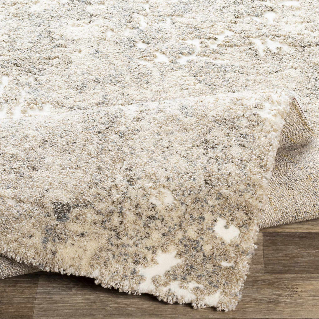 Holtsville Beige Modern Abstract Design Area Rug
