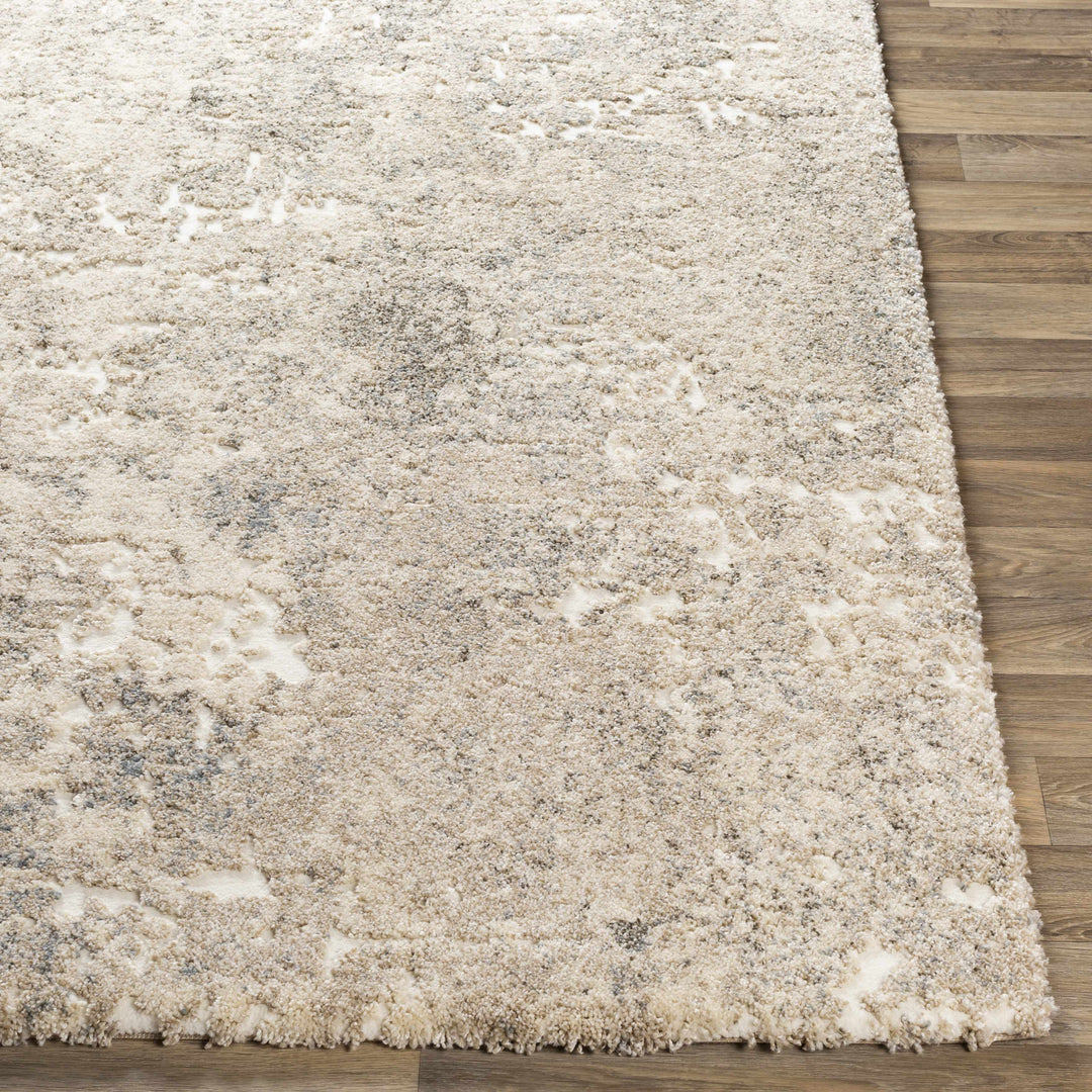 Holtsville Beige Modern Abstract Design Area Rug