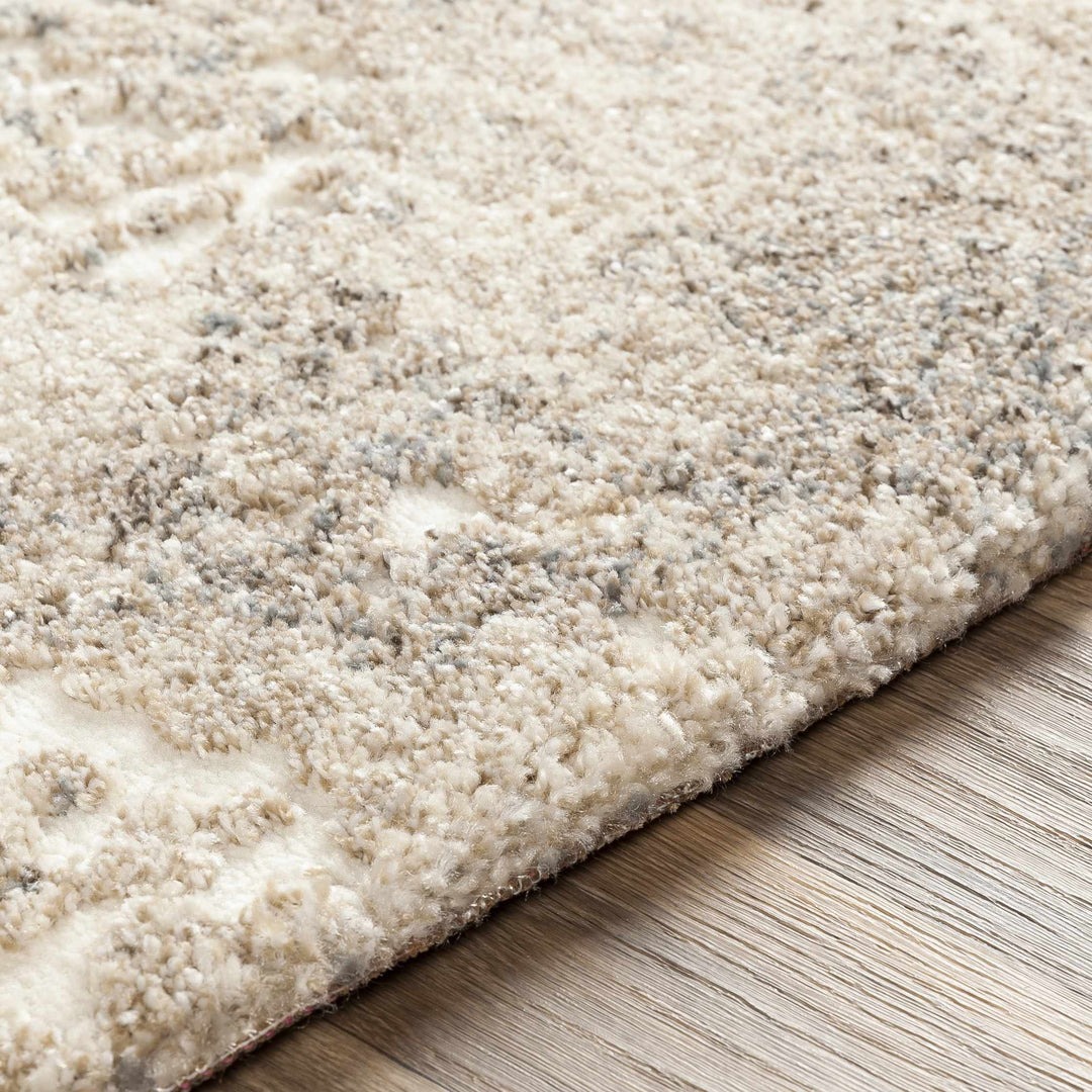 Holtsville Beige Modern Abstract Design Area Rug