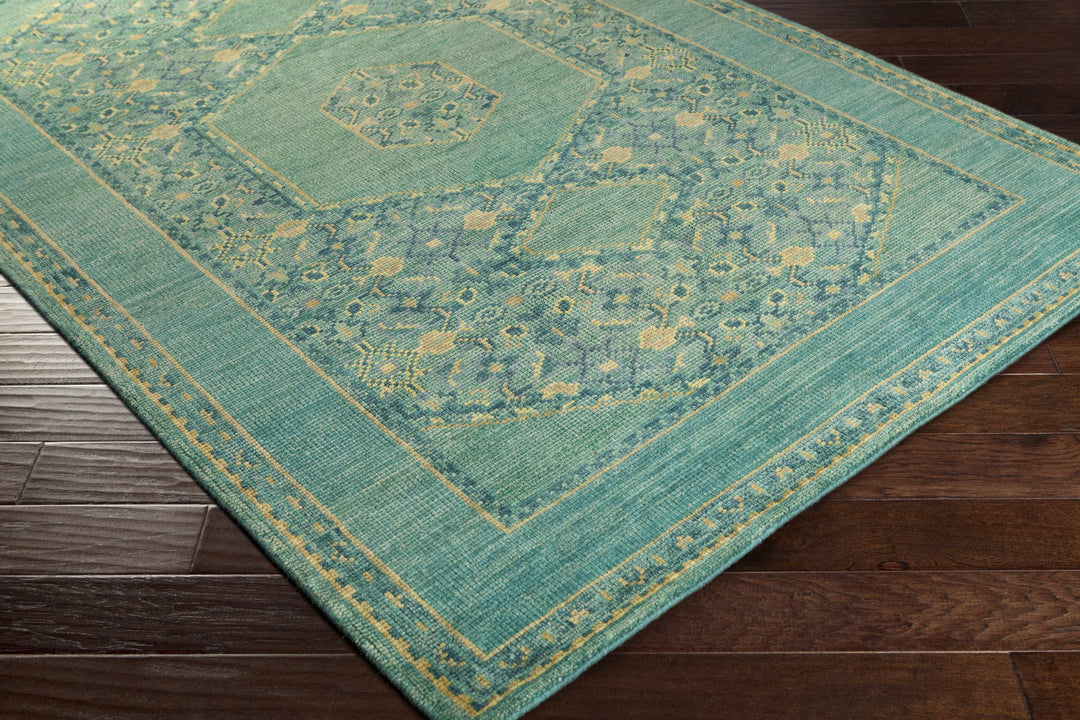 Honesdale Traditional Style Green And Beige Hand Knotted Area Rug