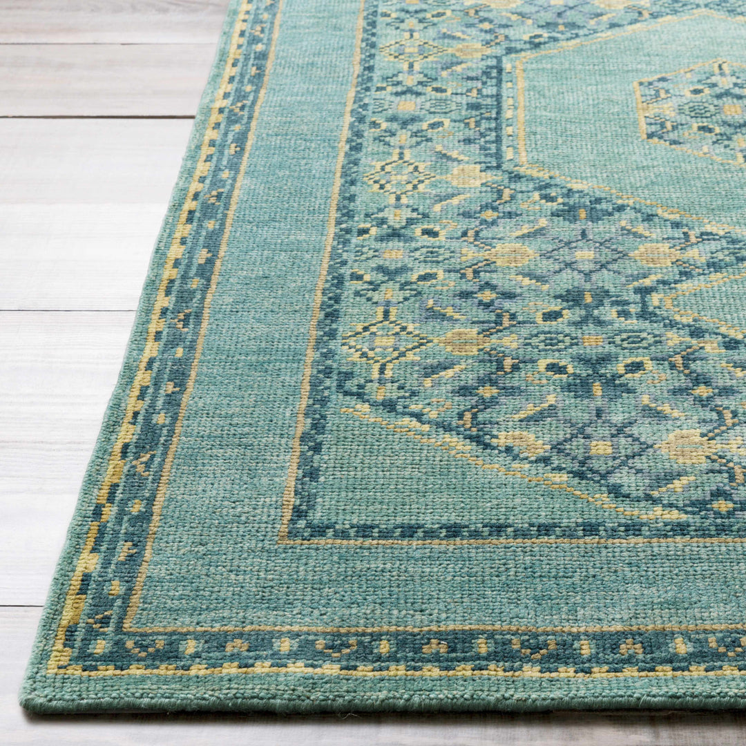 Honesdale Traditional Style Green And Beige Hand Knotted Area Rug