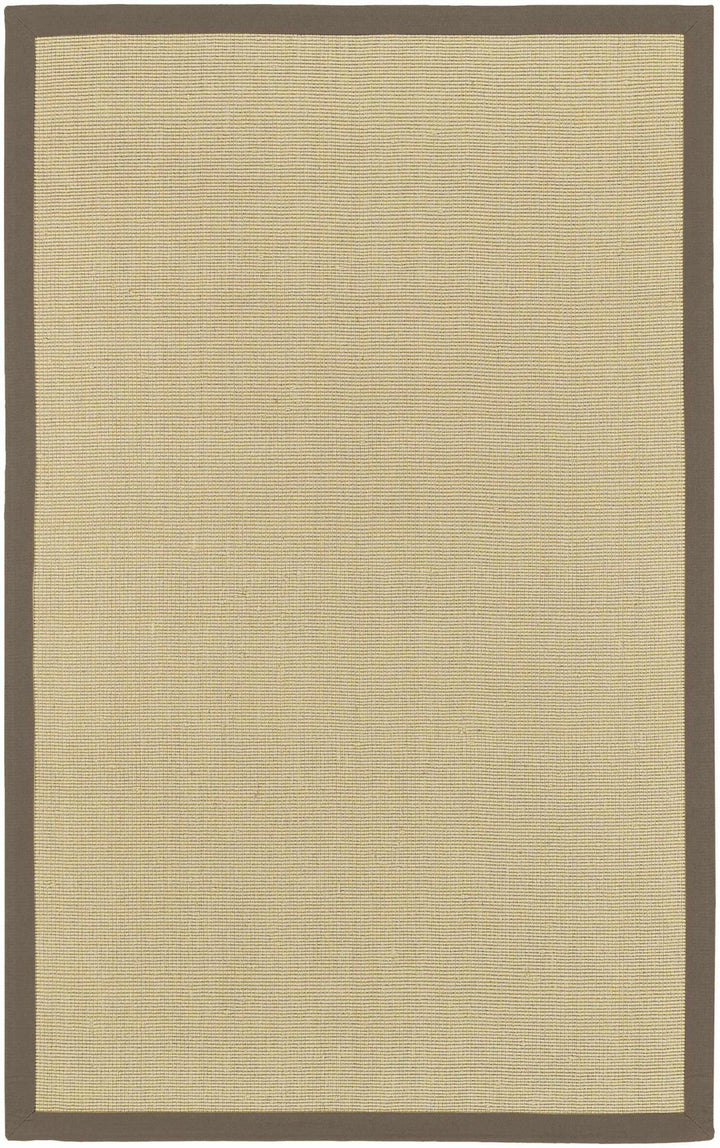 Hoolehua Contemporary Style Beige Hand Woven Area Rug - The Rug Decor