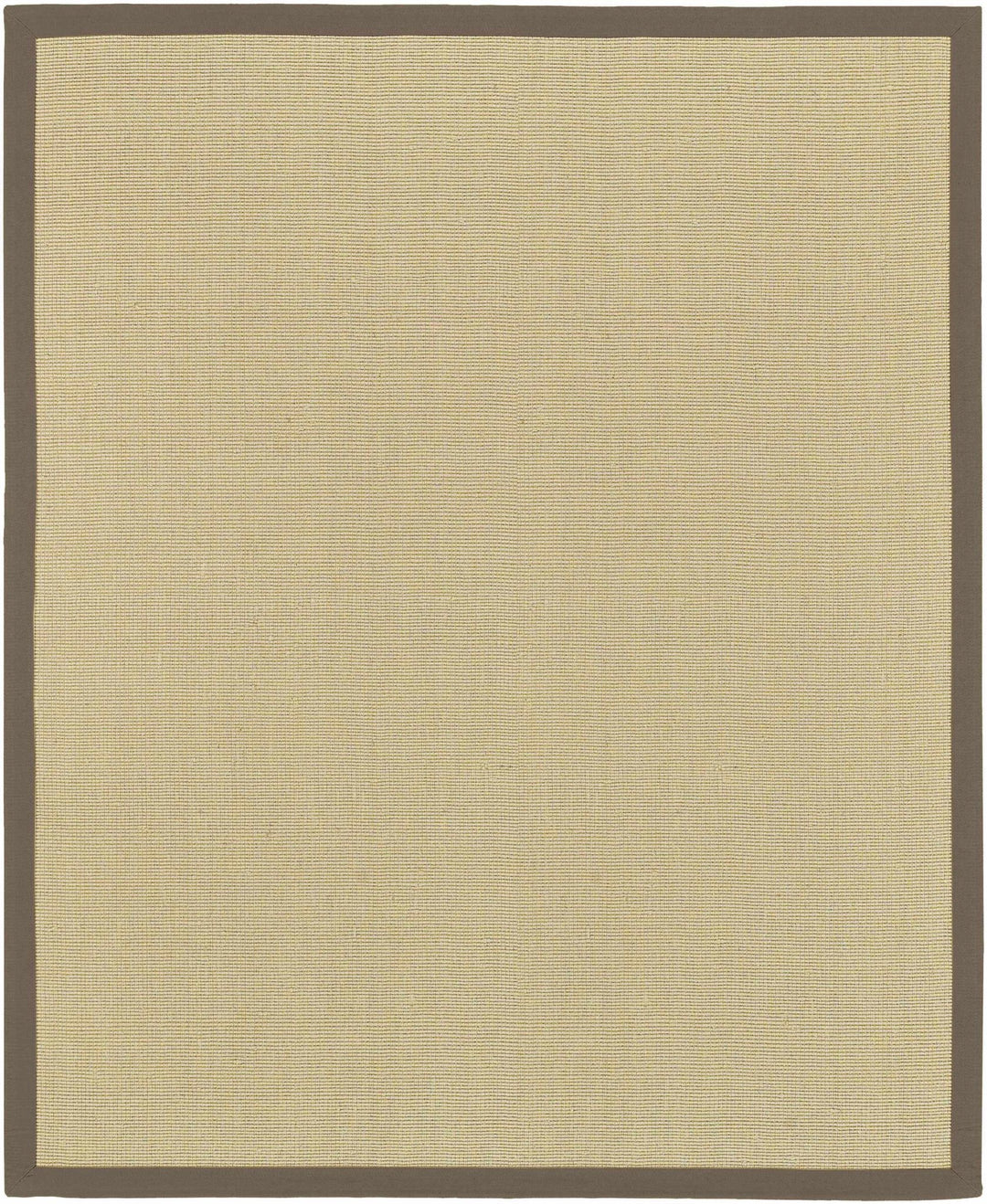 Hoolehua Contemporary Style Beige Hand Woven Area Rug - The Rug Decor