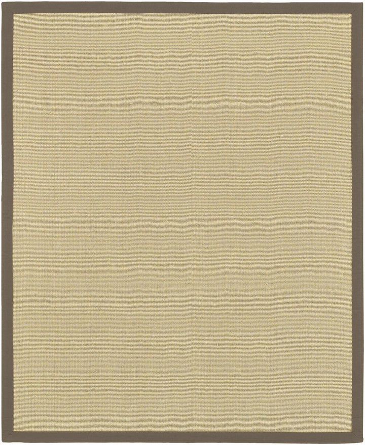 Hoolehua Contemporary Style Beige Hand Woven Area Rug - The Rug Decor
