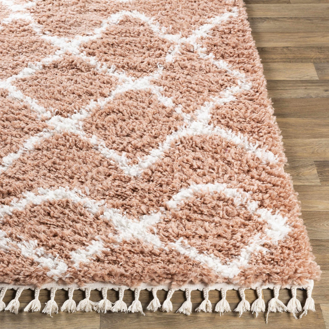 Hornsby Modern Geometrical Design Peach Area Rug - The Rug Decor