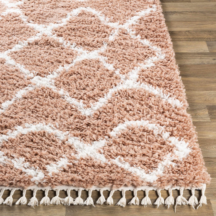 Hornsby Modern Geometrical Design Peach Area Rug - The Rug Decor