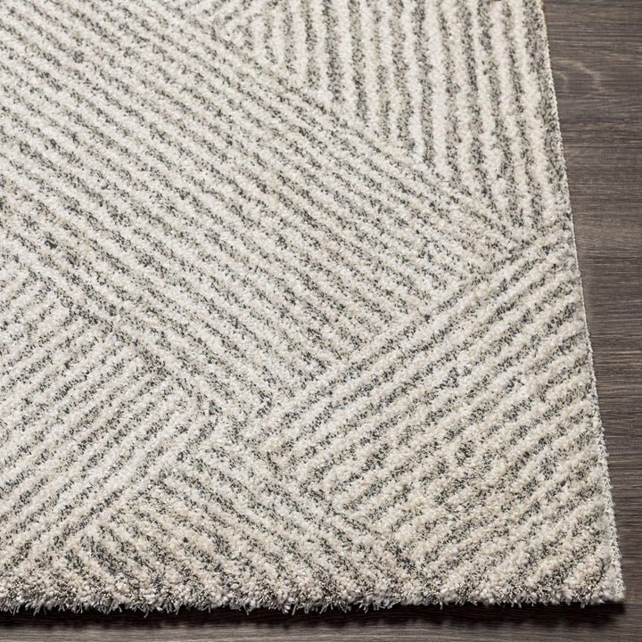 Horsley Contemporary Style Cream Area Rug - The Rug Decor