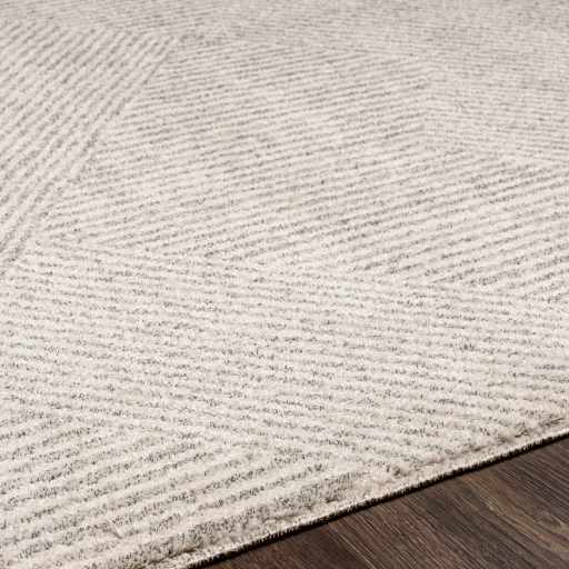 Horsley Contemporary Style Cream Area Rug - The Rug Decor