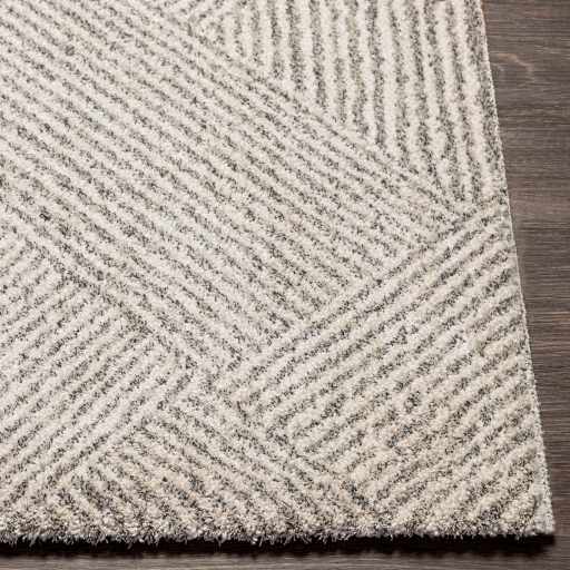 Horsley Contemporary Style Cream Area Rug - The Rug Decor