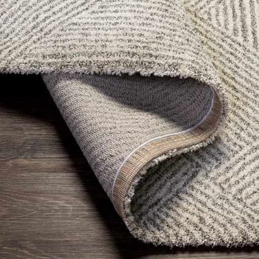 Horsley Contemporary Style Cream Area Rug - The Rug Decor