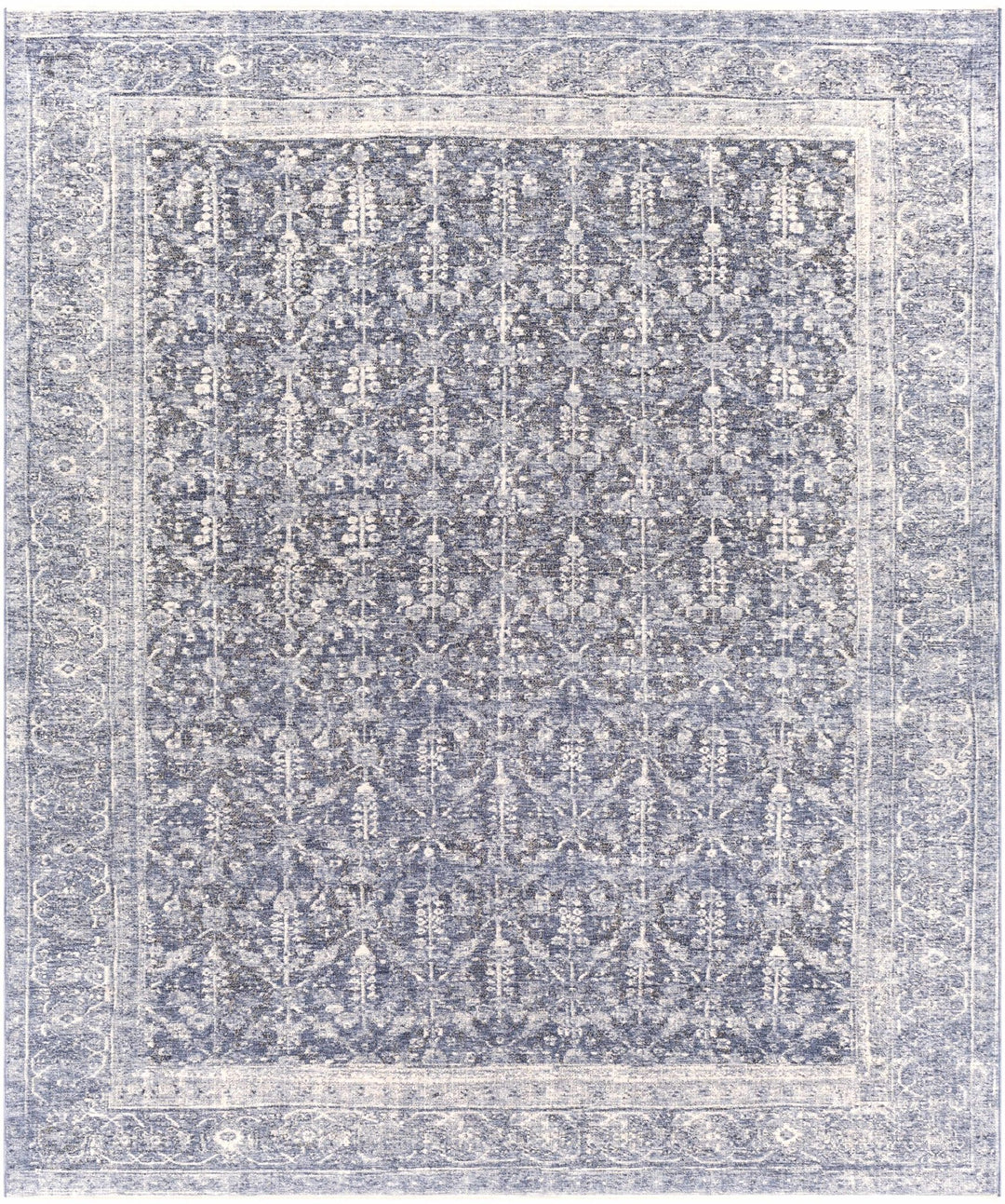 Housatonic Traditional Style Blue Area Rug - The Rug Decor