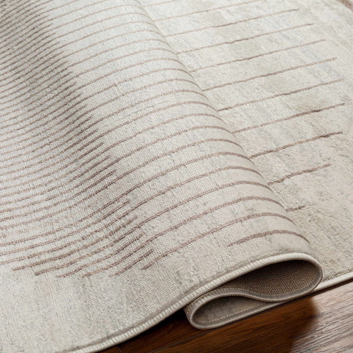 Howi Contemporary Beige And Brown Area Rug - The Rug Decor