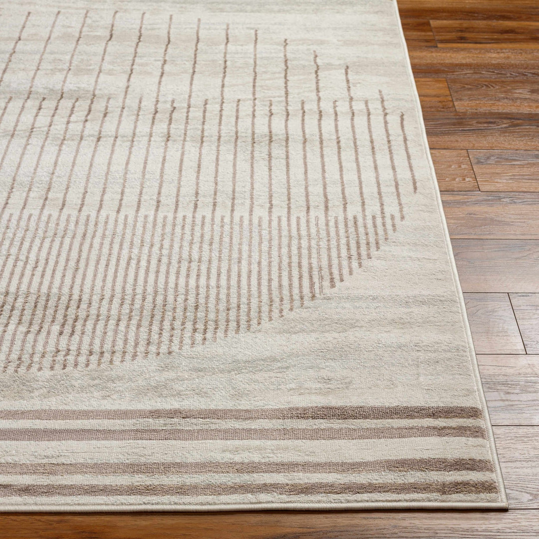 Howi Contemporary Beige And Brown Area Rug - The Rug Decor