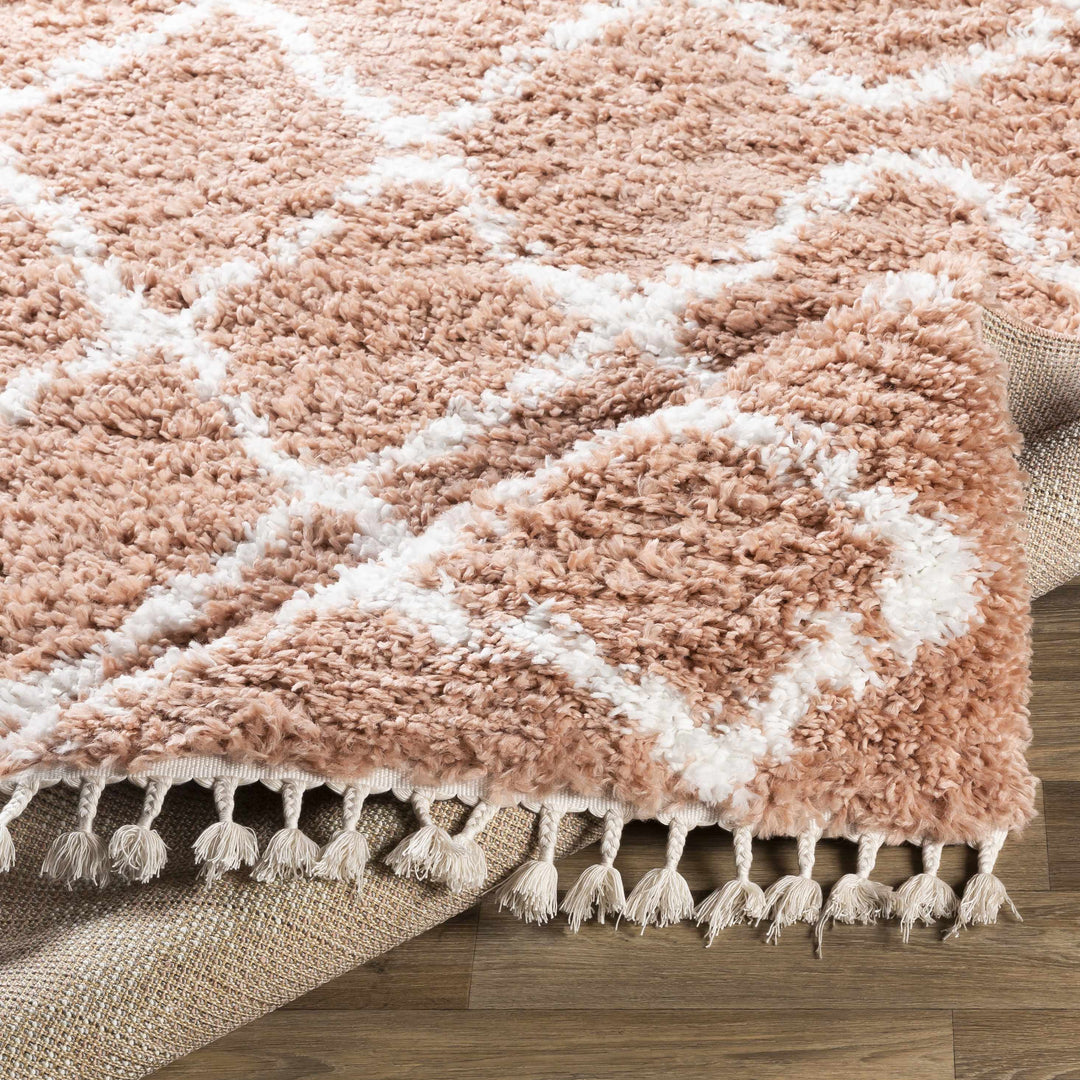 Hornsby Modern Geometrical Design Peach Area Rug