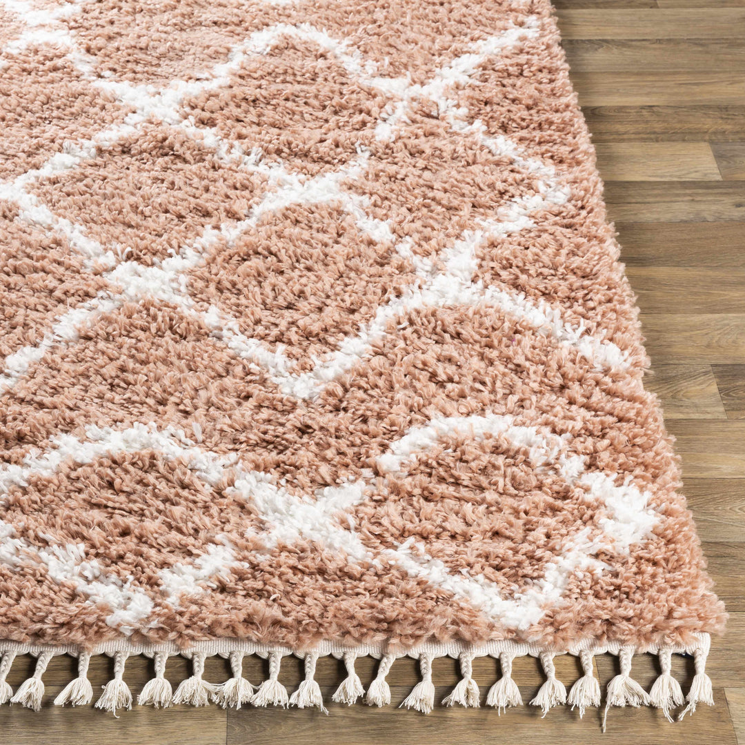 Hornsby Modern Geometrical Design Peach Area Rug