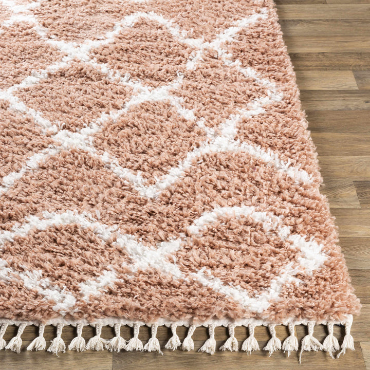 Hornsby Modern Geometrical Design Peach Area Rug