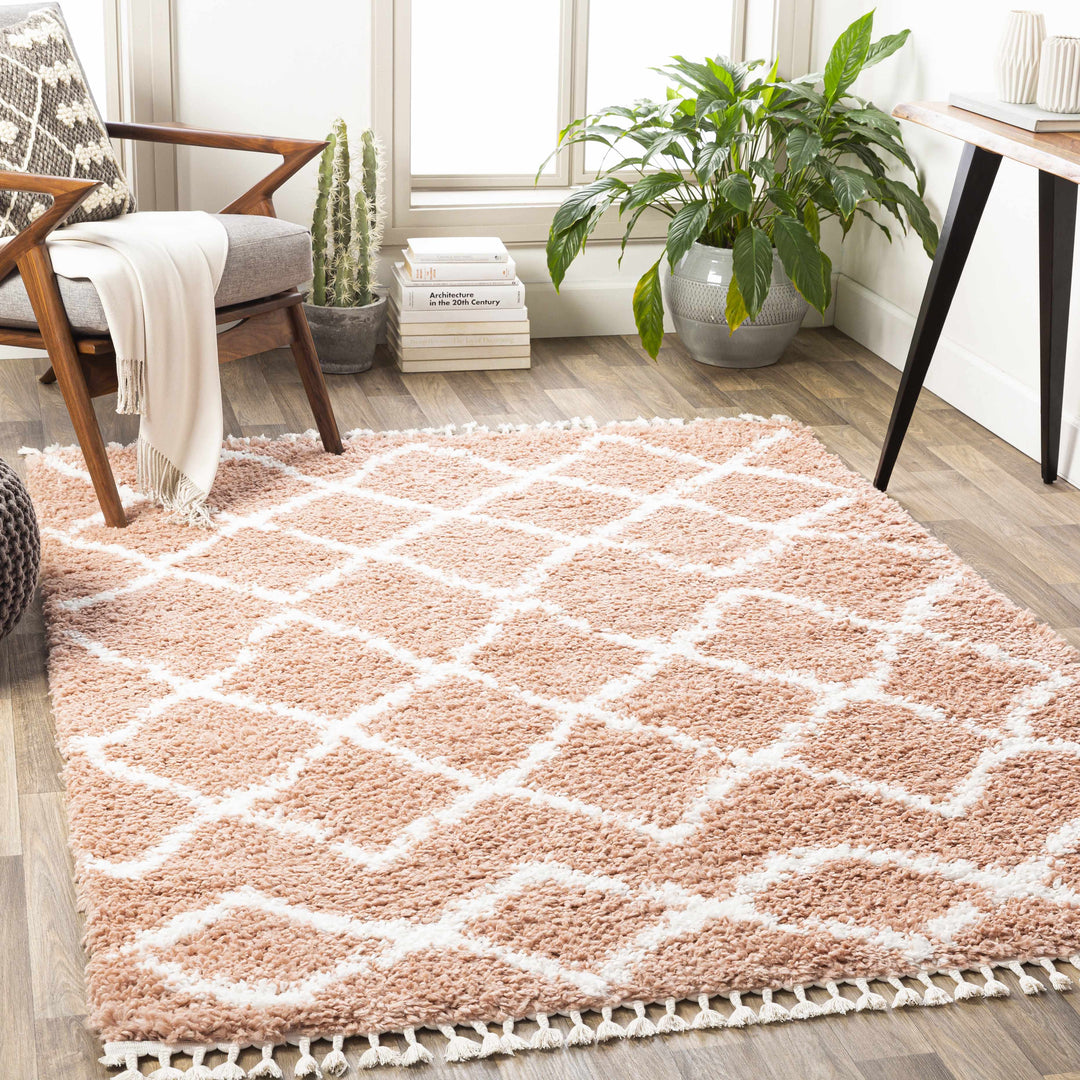 Hornsby Modern Geometrical Design Peach Area Rug