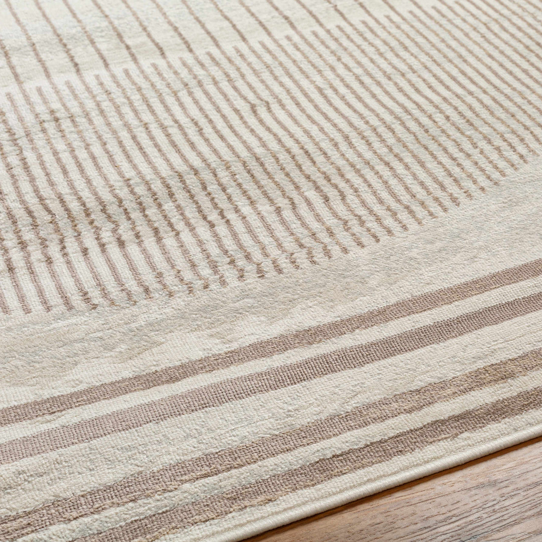 Howi Contemporary Beige And Brown Area Rug