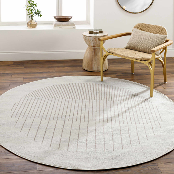 Howi Contemporary Beige And Brown Area Rug