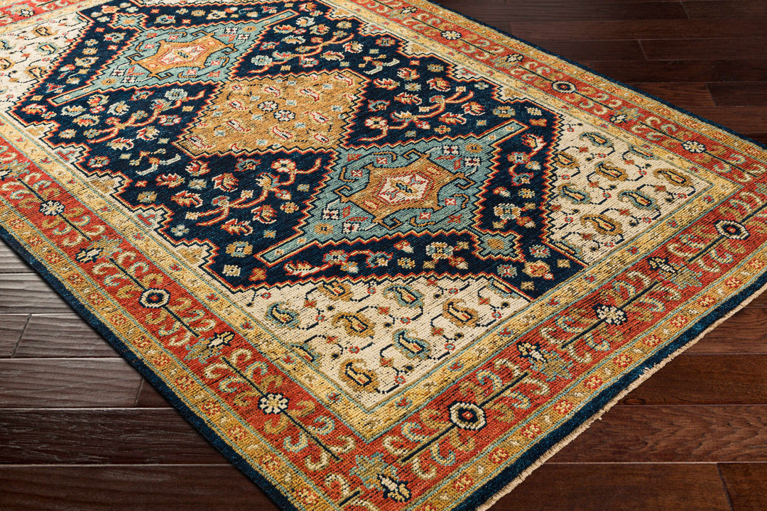 Hyrum Traditional Style Blue And Red Hand Knotted Rug