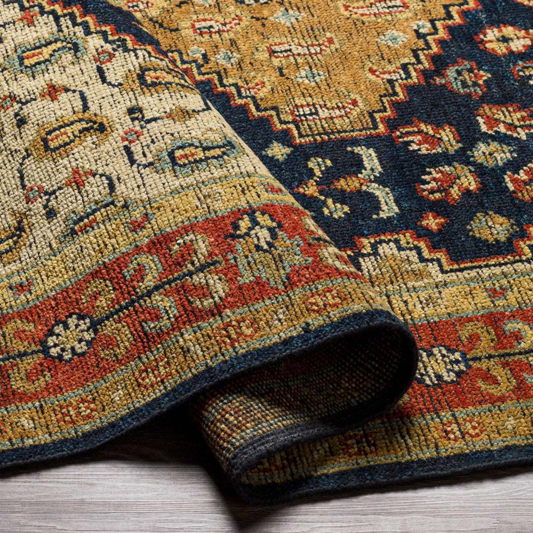 Hyrum Traditional Style Blue And Red Hand Knotted Rug