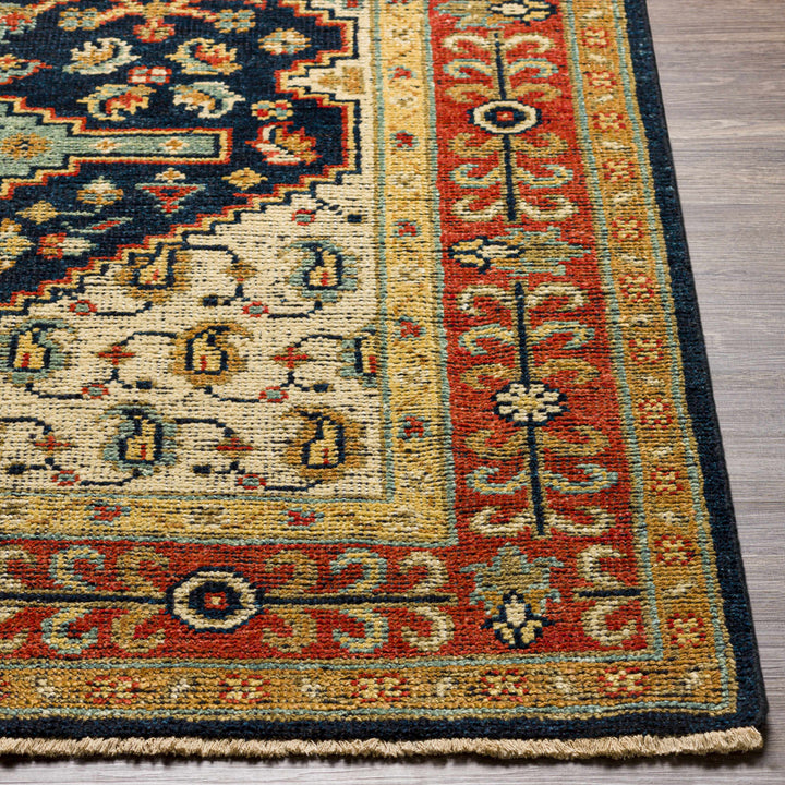 Hyrum Traditional Style Blue And Red Hand Knotted Rug