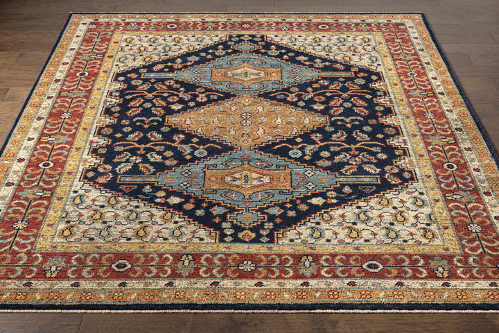 Hyrum Traditional Style Blue And Red Hand Knotted Rug