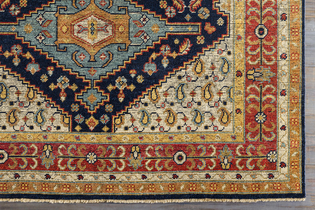 Hyrum Traditional Style Blue And Red Hand Knotted Rug