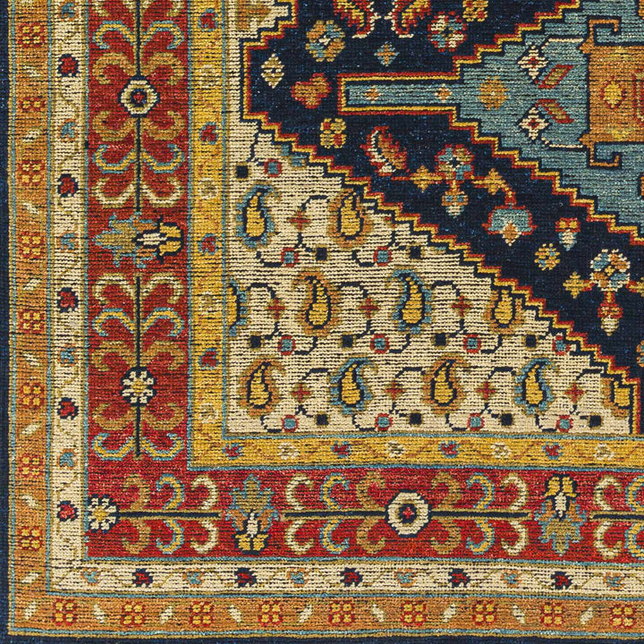Hyrum Traditional Style Blue And Red Hand Knotted Rug